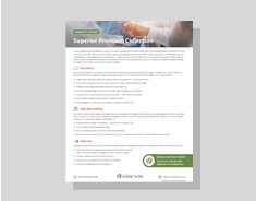 Silvervine Payment Services Overview silvervine-payment-services-overview