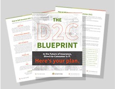 D2C Blueprint direct-to-consumer-blueprint