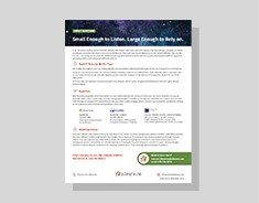 About Silvervine – Company Profile silvervine-software