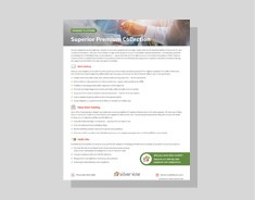 Silvervine Payment Platform Capabilities Profile silvervine-payment-platform